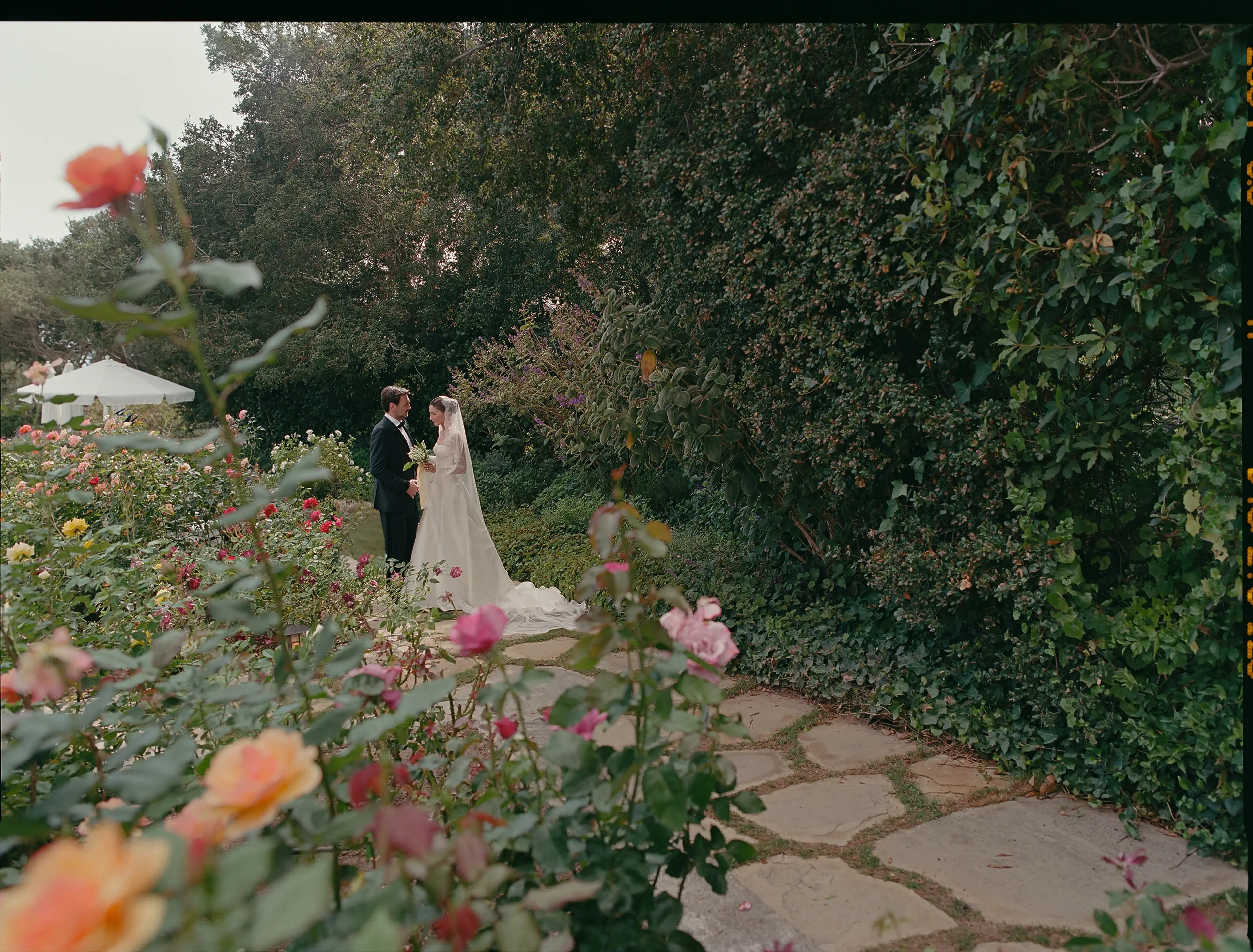 This Couple Married Surrounded by Hundreds of Blooming Rose Bushes at Their Montecito Wedding