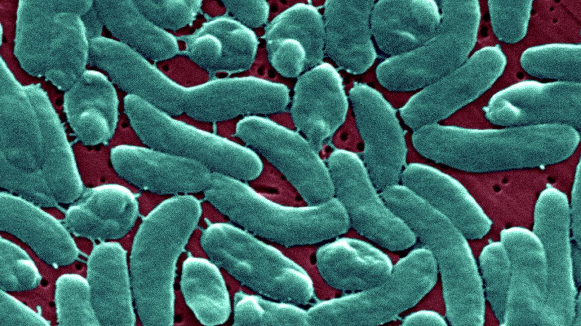Flesh-eating bacteria devour man's arm and leg in just three days