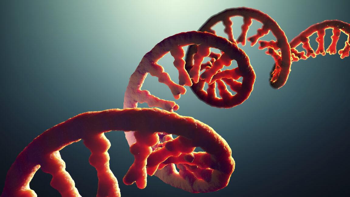 Do you take after your dad’s RNA?