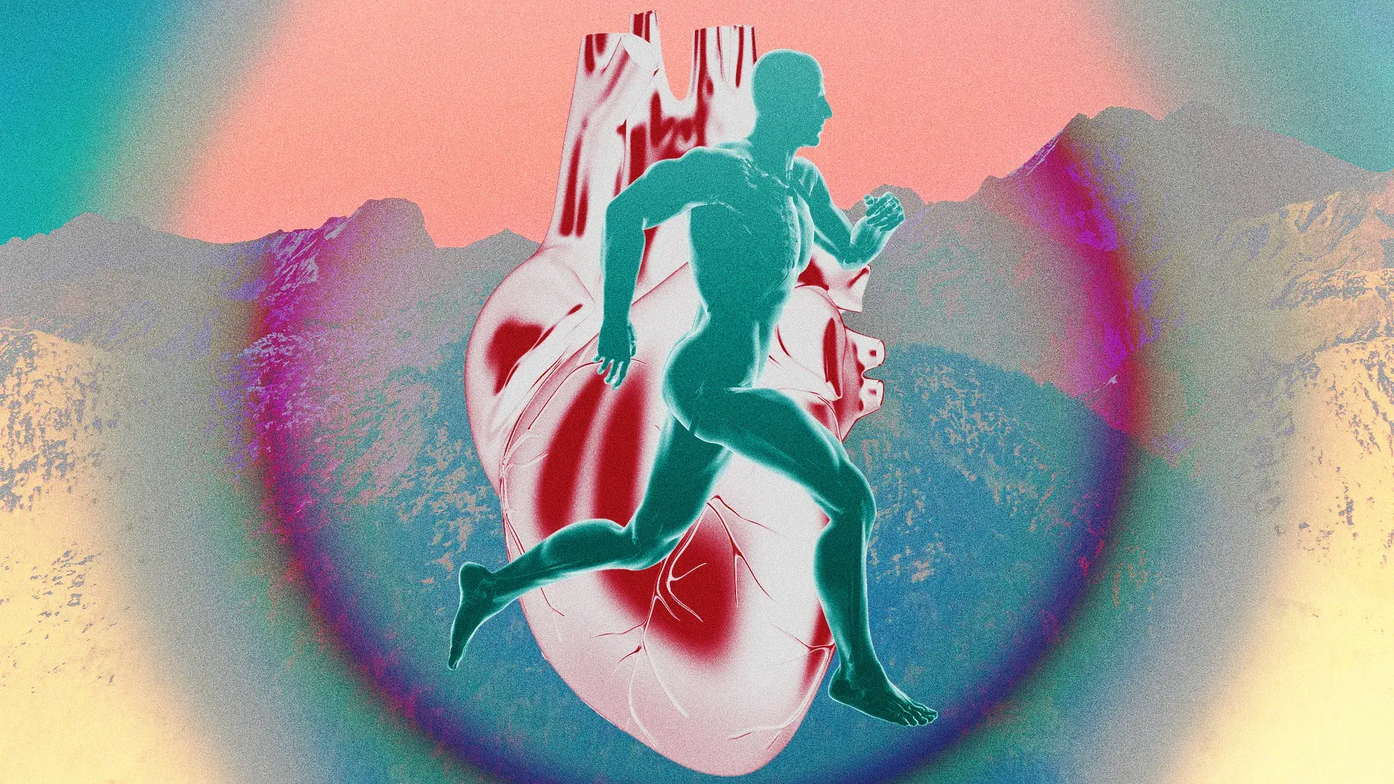 Zone 2 Training: Why Long, Easy Workouts Became the Biggest Thing in Fitness