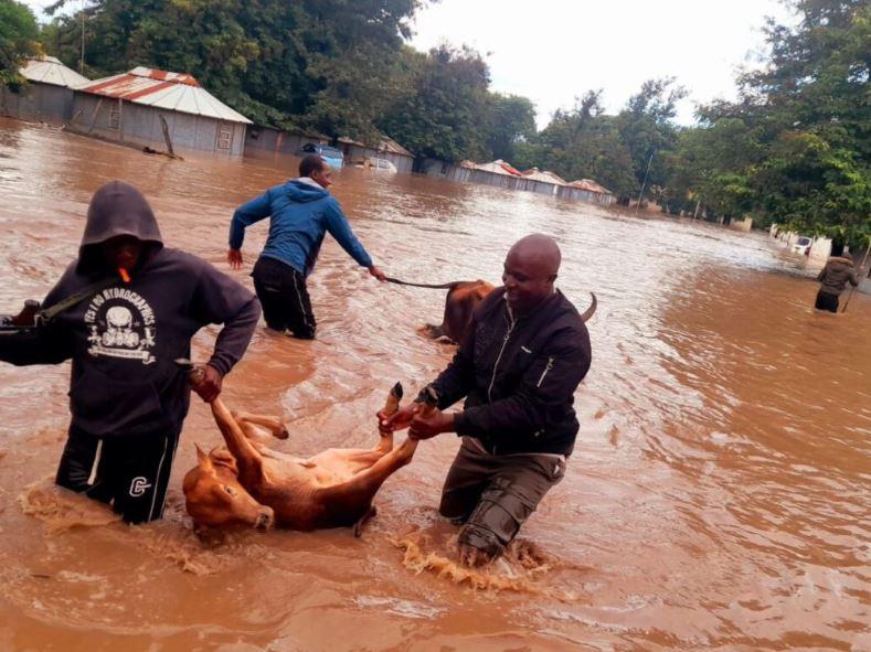 84 Dead in Kenya Floods as Rivers Surge Past Banks in Kisumu, Tana River and Uasin Gishu