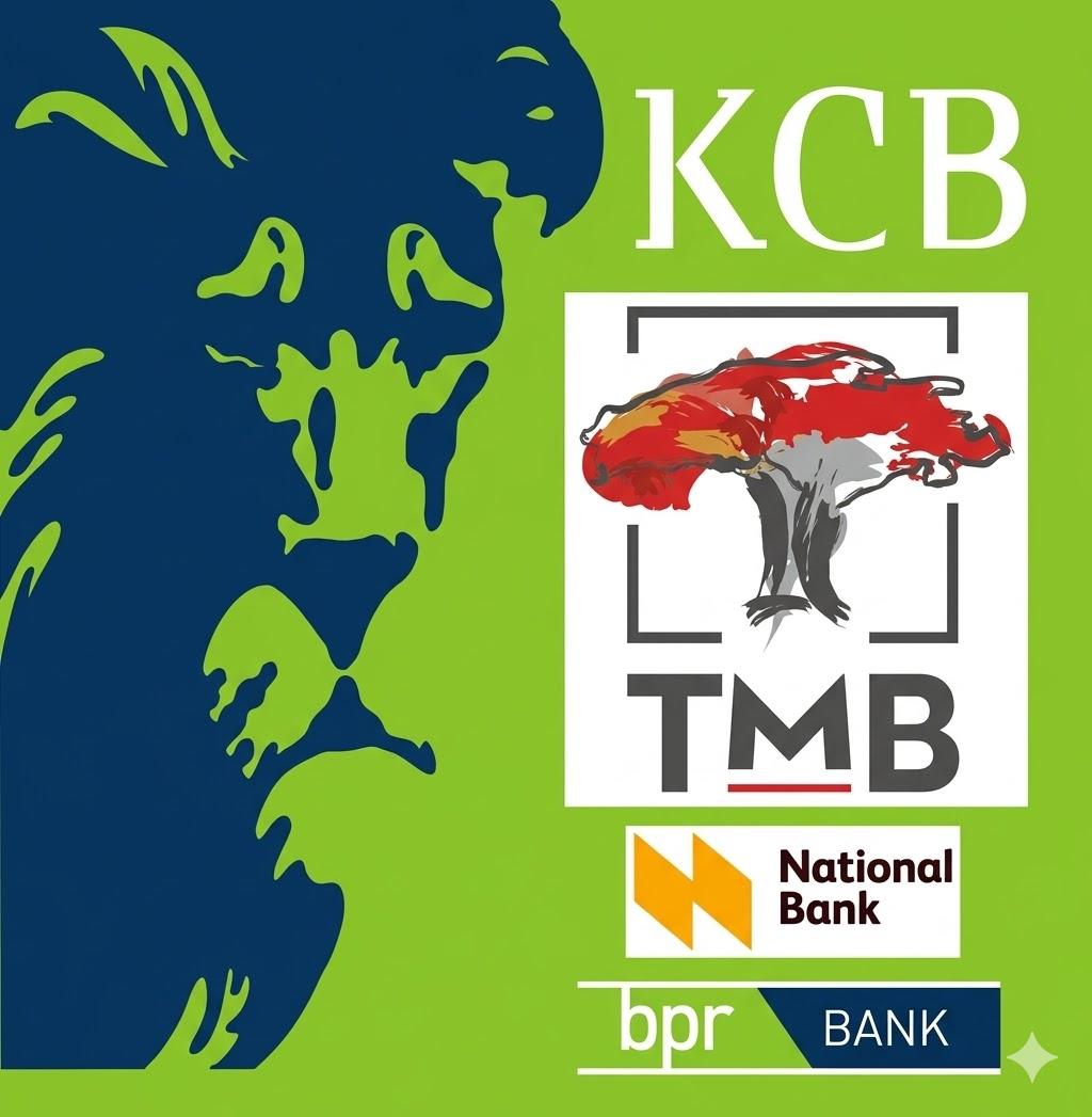 TMB Upgrade Boosts Banking Access and Convenience in DRC