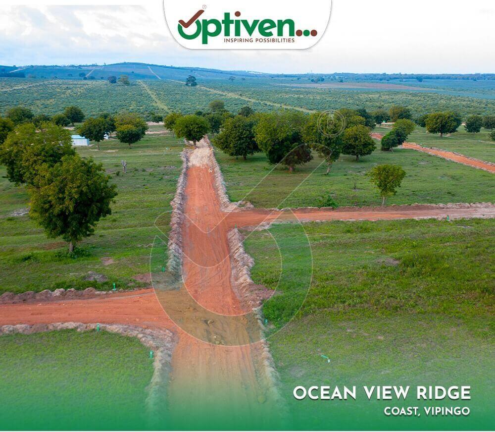 How Much Do You Need to Own Land in Kenya? Breaking Down the Real Costs
