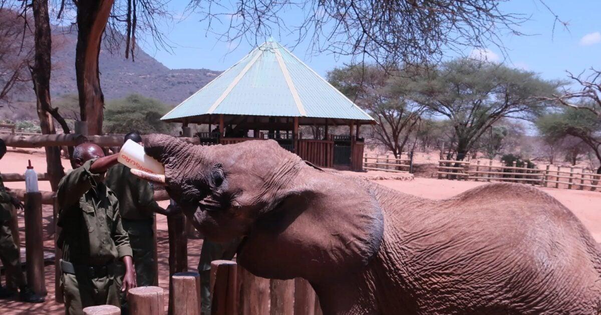 How Northern Kenya is building a circular economy through sustainable tourism