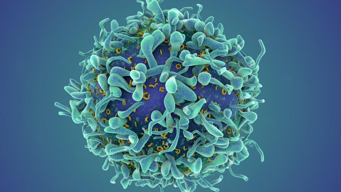 A revolutionary cancer treatment could transform autoimmune disease