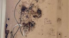 Botched insulation scheme was 'doomed to fail', say MPs