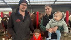 'We're in survival mode': The milk price crisis draining dairy farms