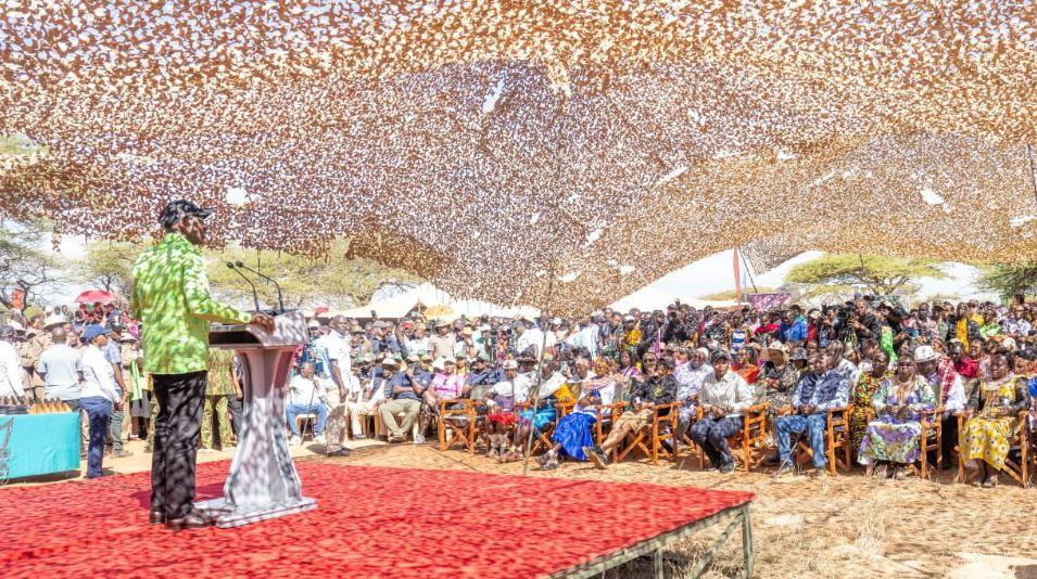 Ruto to Kenyan Parents: Stop Passing the Blame When Your Children Go Wrong
