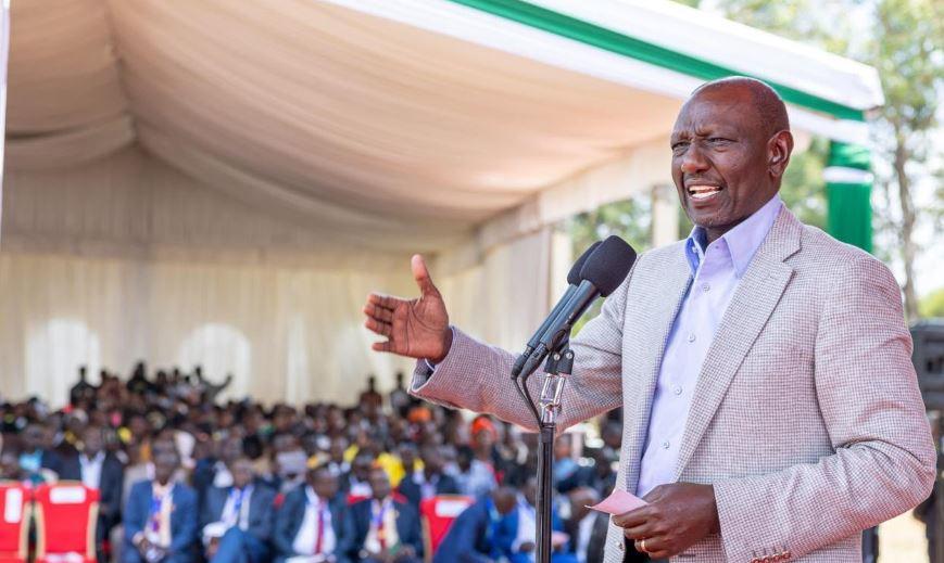 Ruto Says His Own Maize Crop Dried Up as Drought Devastates Farmers