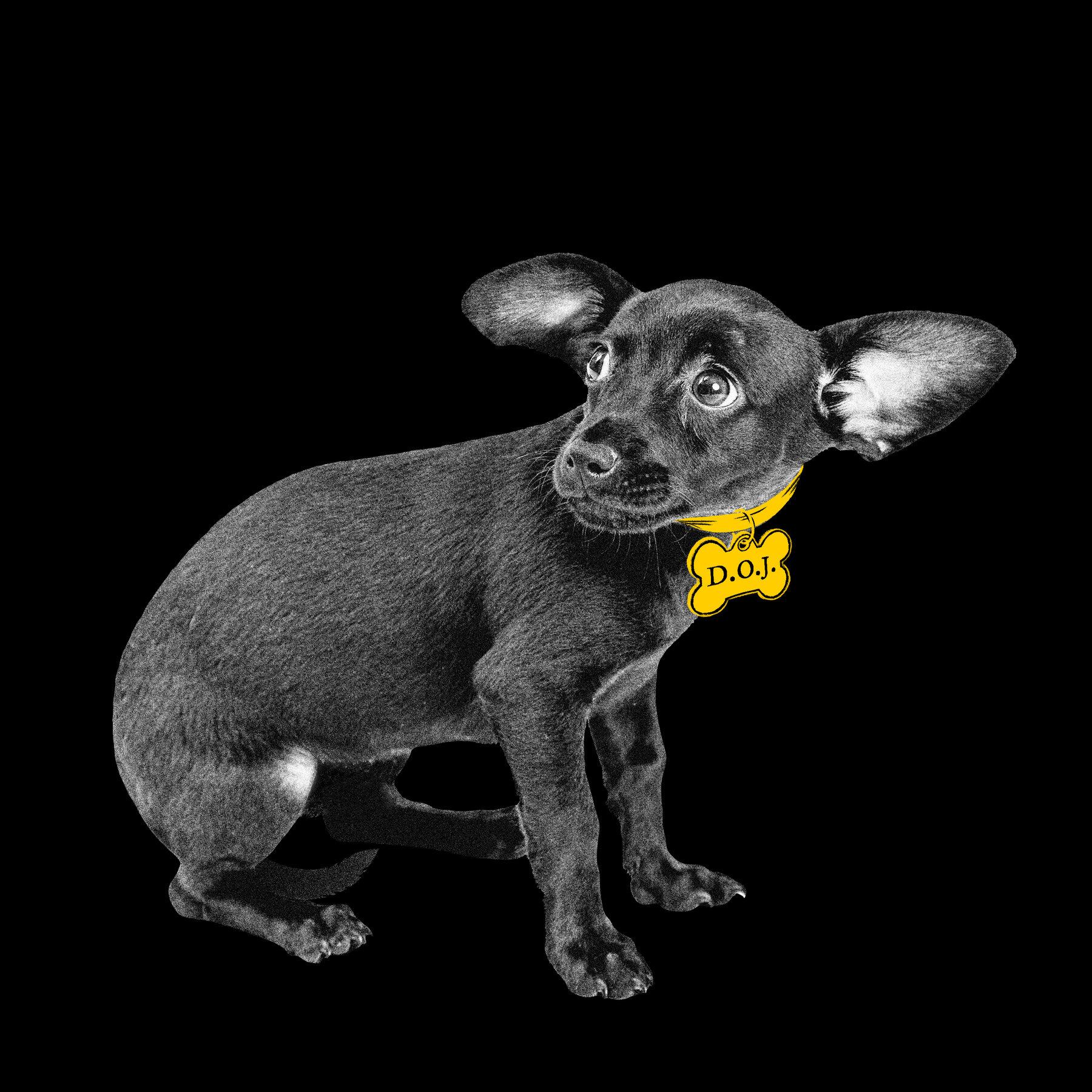 To Halt Trump’s Abuse of Power, Vote