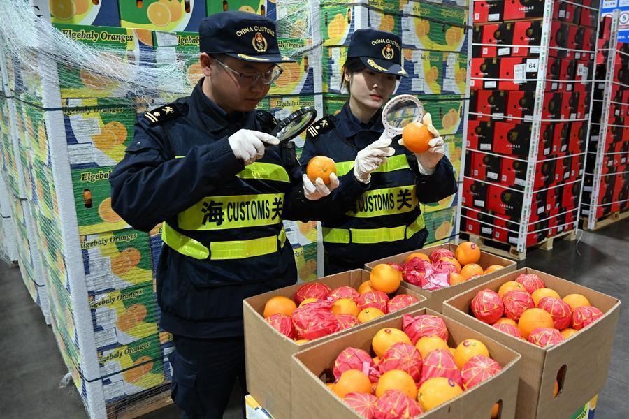 First Kenyan Exports Under China Zero-Tariff Deal Arrive in Beijing